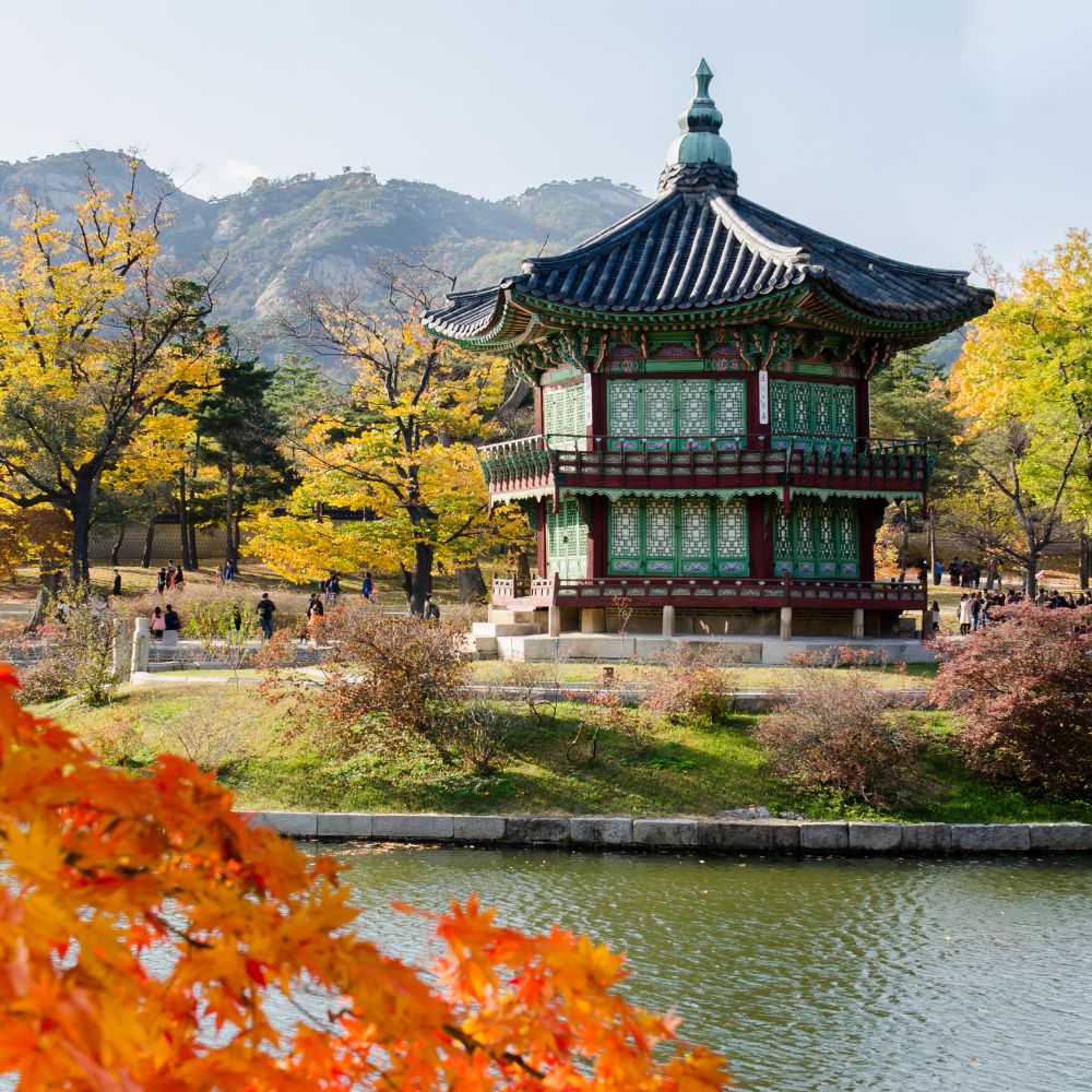 Suenos de Corea y Japon